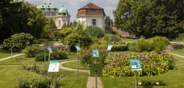     Botanical Garden Belvedere Vienna 
